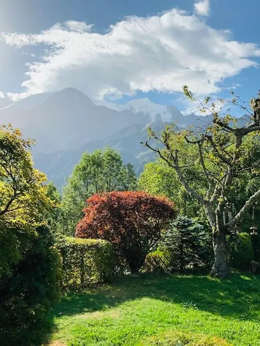 Apartment Logement Avec Jardin Et Vue Panoramique Montblanc Les Houches