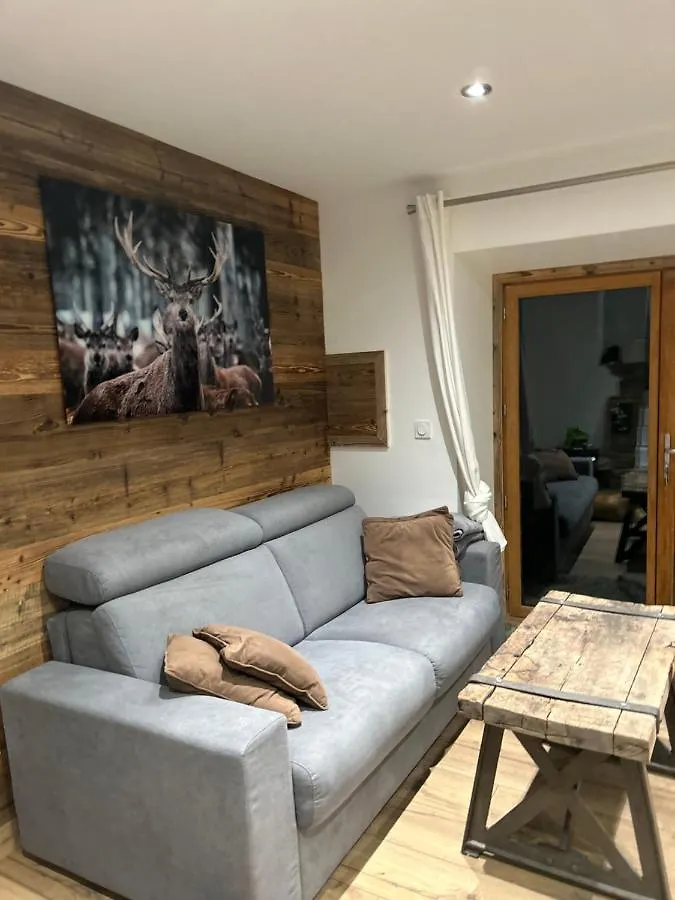 Logement Avec Jardin Et Vue Panoramique Montblanc Les Houches France